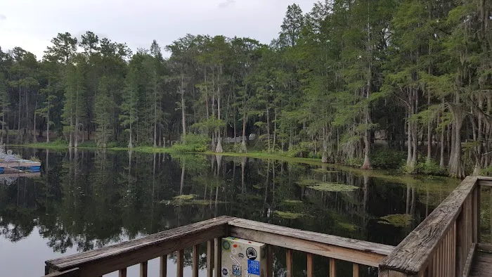 Pine Field Campsites 9
