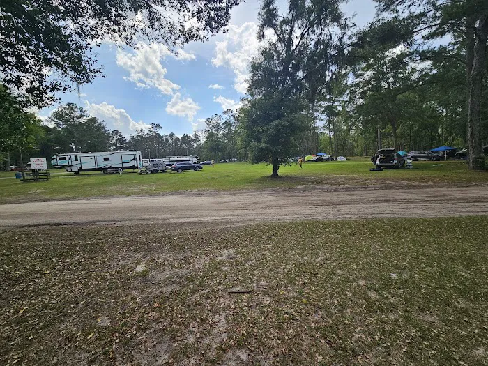 Pine Field Campsites 10