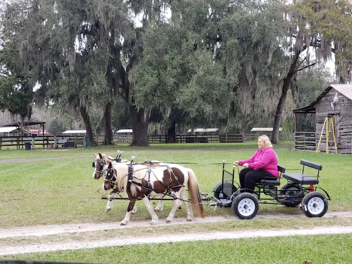 Long Branch Rest and Ride R.V. and Horse Park 10