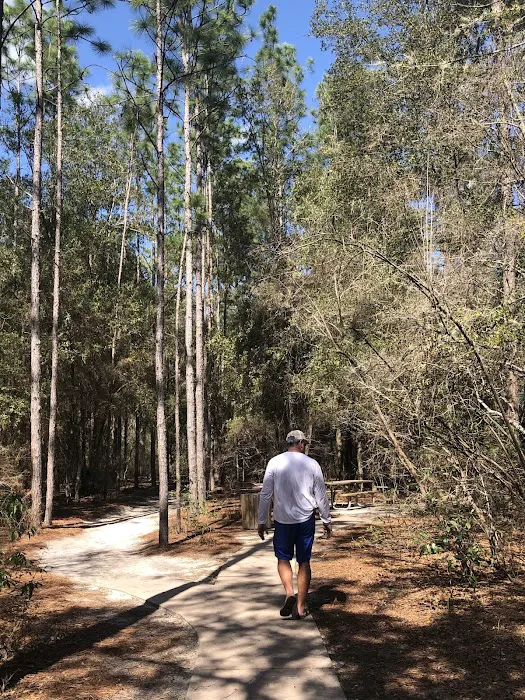 Woods Ferry River Camp 8