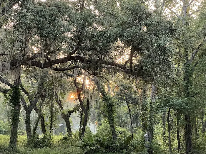 Firelight Family Campground 1
