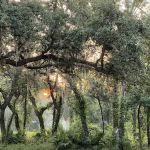 Firelight Family Campground