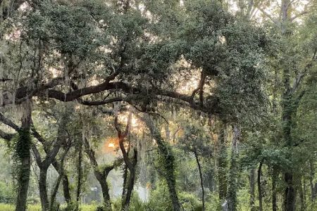 Firelight Family Campground
