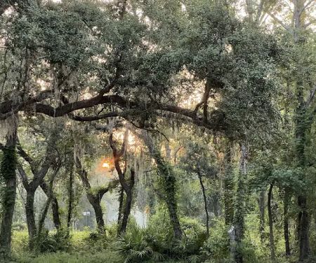 Firelight Family Campground