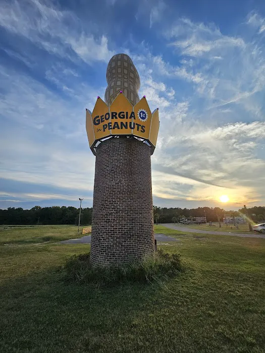 Georgia Peanut RV Park 1