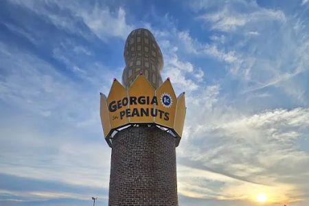 Georgia Peanut RV Park