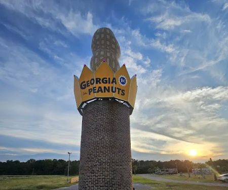 Georgia Peanut RV Park