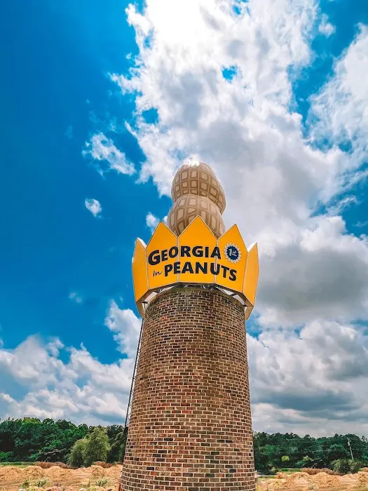 Georgia Peanut RV Park 3