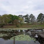 Cordele KOA Journey