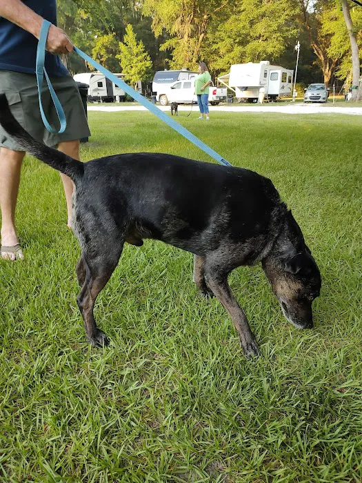 Futter's 4 Oaks RV Park 9
