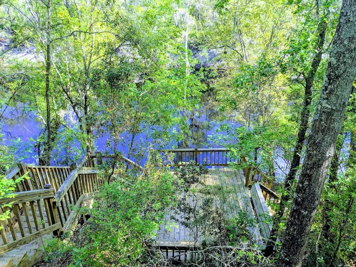 Suwannee Valley Resort LLC 7
