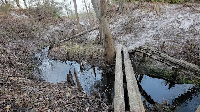 Waldrons Landing 3
