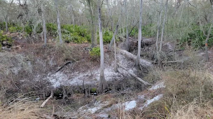 Waldrons Landing 4