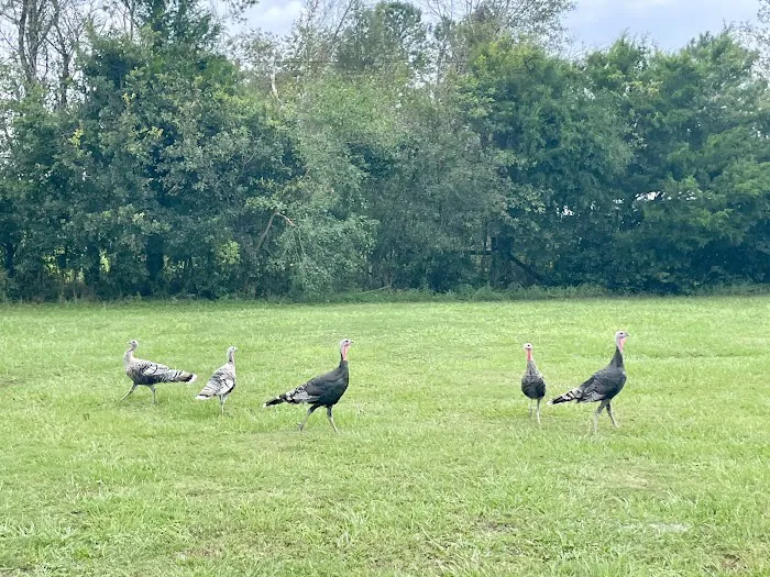 Green Acres RV Park Florida LLC 9