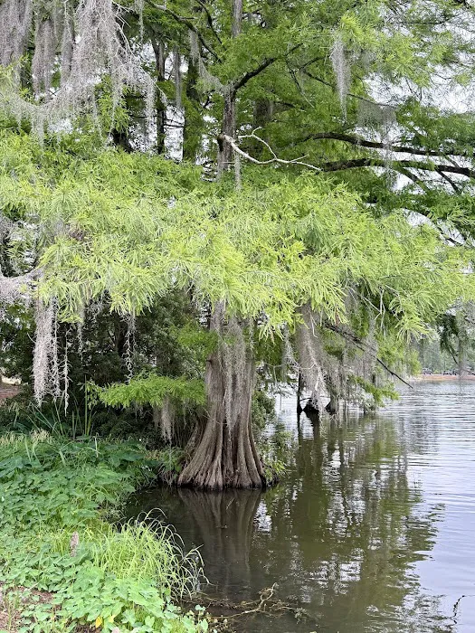Timberline Glamping at Lake Blackshear 8