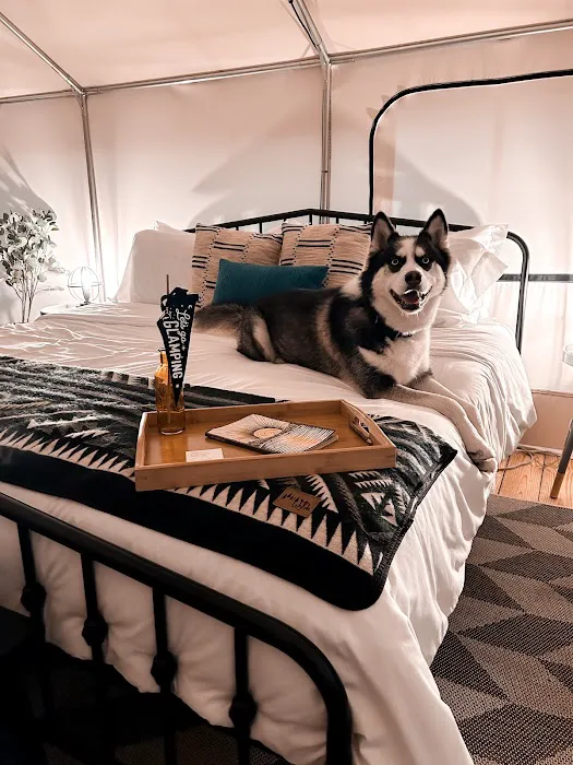 Timberline Glamping at Lake Blackshear 7