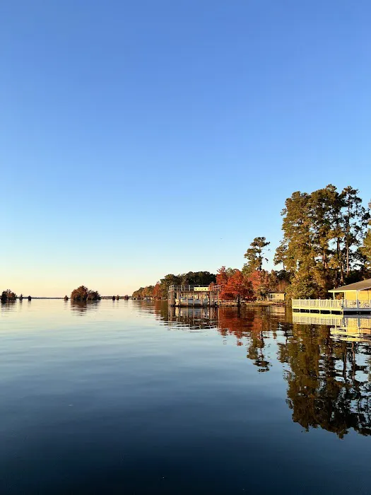 Georgia Veterans State Park Campground 4