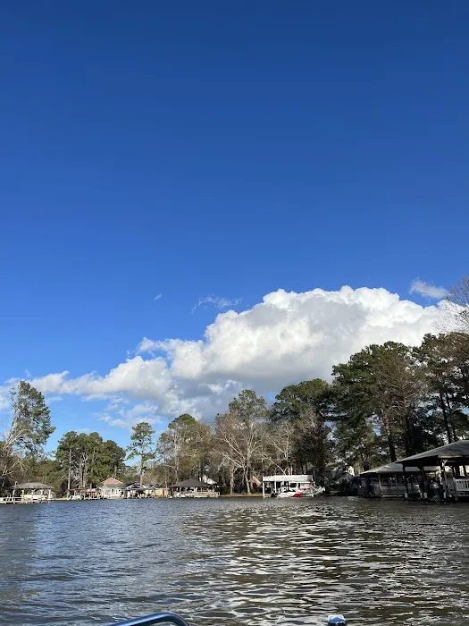 Georgia Veterans State Park Campground 7