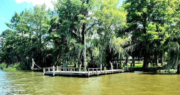 Georgia Veterans State Park Campground 8