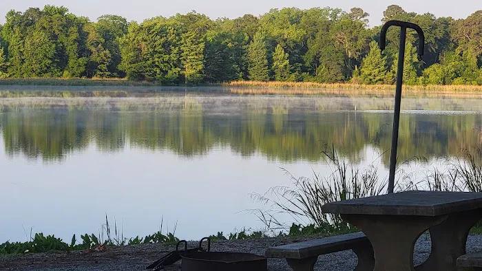Georgia Veterans State Park Campground 6