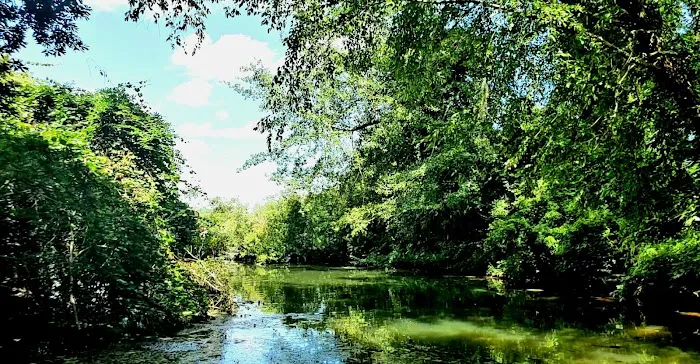 Georgia Veterans State Park Campground 9