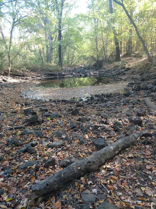 Dooly Campground 1