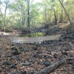 Dooly Campground