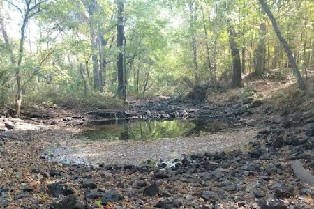 Dooly Campground