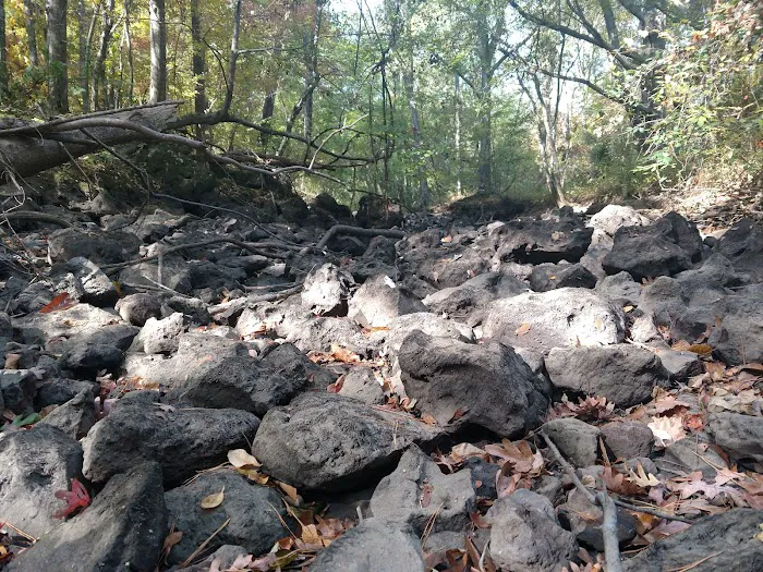 Dooly Campground 9