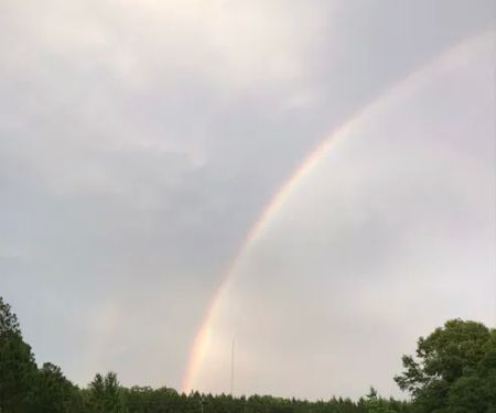 Clements RV Campsite