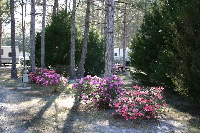 Lake City RV Resort 7