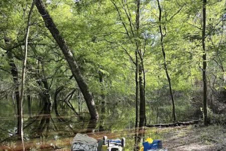 Peacock Slough River Camp