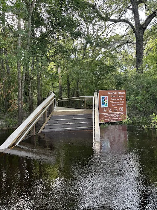 Peacock Slough River Camp 2
