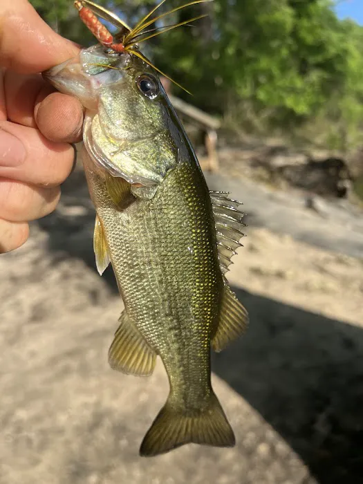 Peacock Slough River Camp 9