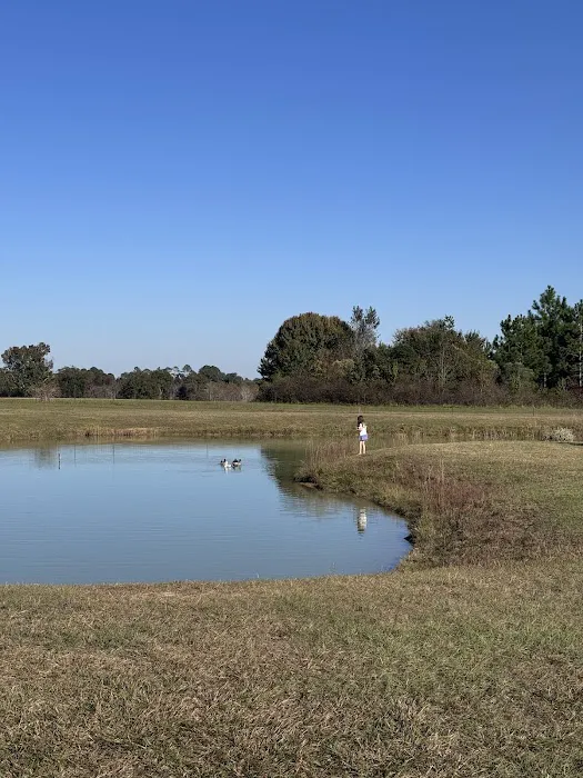 Southern Trails RV Resort 9