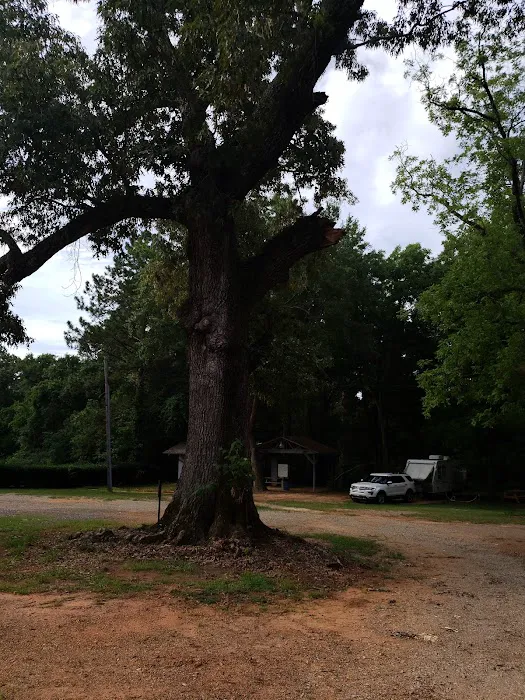 Andersonville RV Park 10