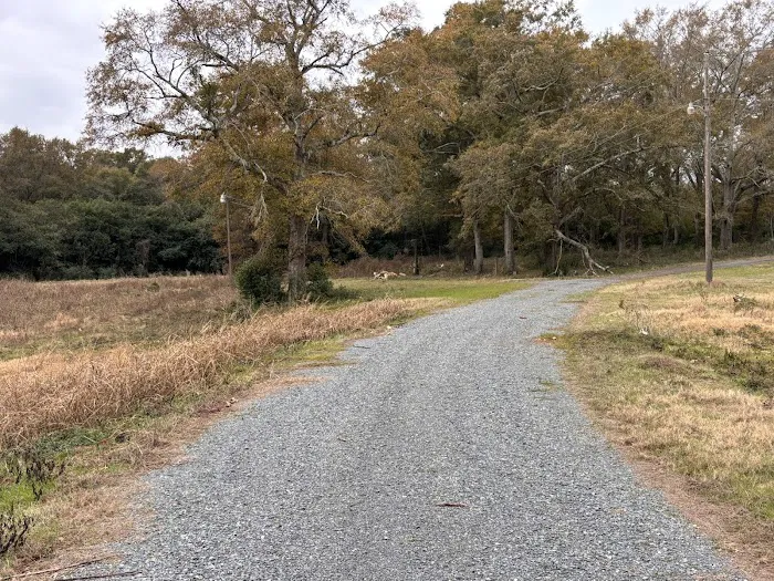 Stillwater Springs Campground and RV Park 4