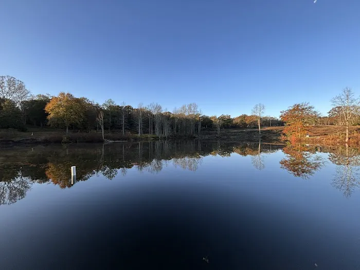 Stillwater Springs Campground and RV Park 5