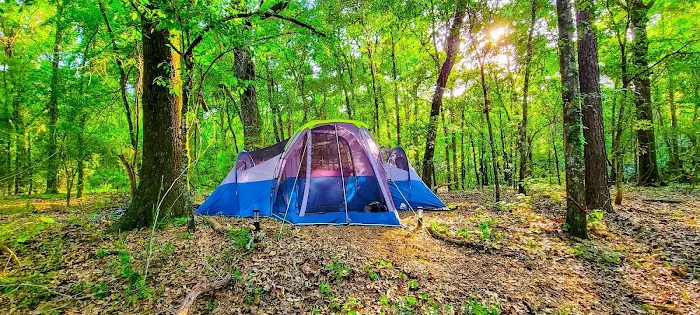 The Pecan Orchard Campgrounds 7