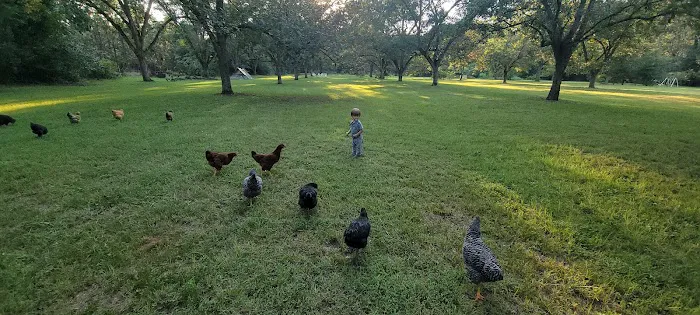 The Pecan Orchard Campgrounds 10