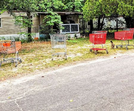 Cedar Pines Mobile Home Park