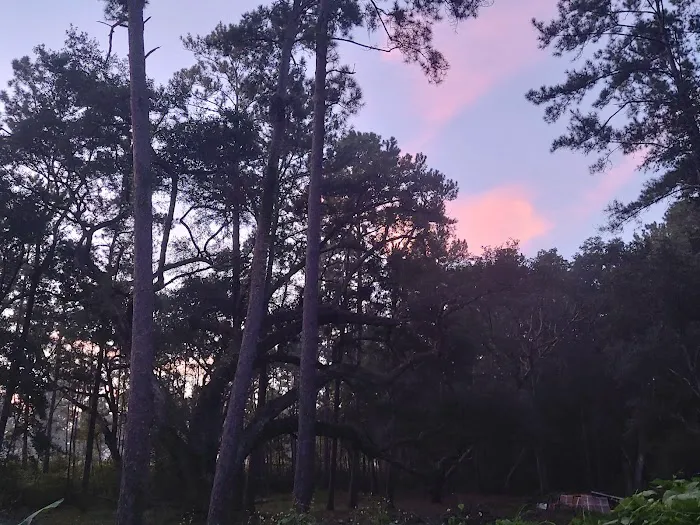 Edgewater mobile home park 1