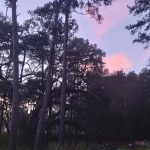 Edgewater mobile home park