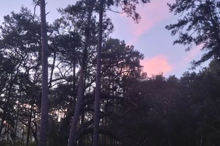Edgewater mobile home park