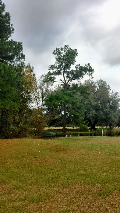 Rose Creek Mobile Home Park 10