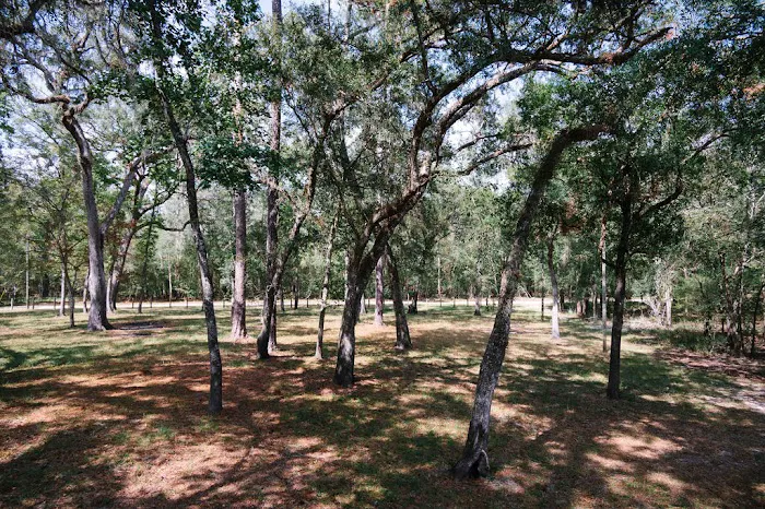 Suwannee RV Campground Retreat 3