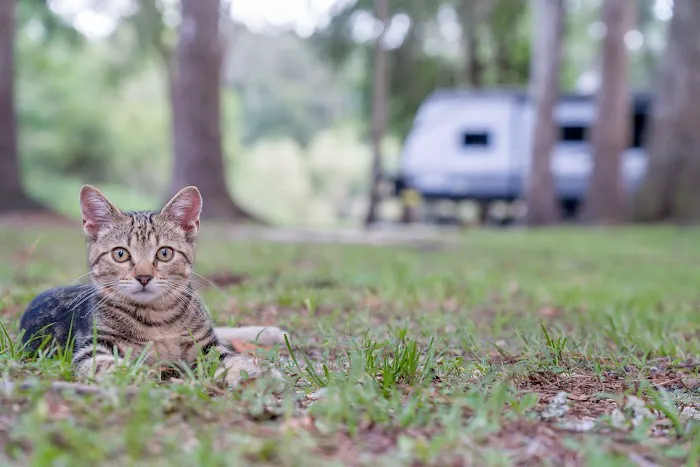 Suwannee RV Campground Retreat 10