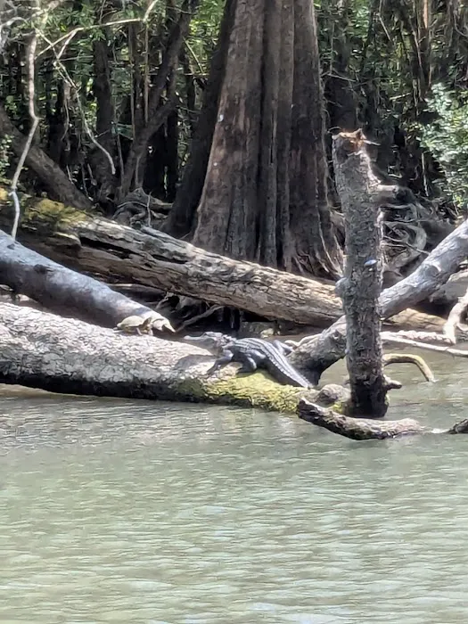 Sandy Point Campground 7