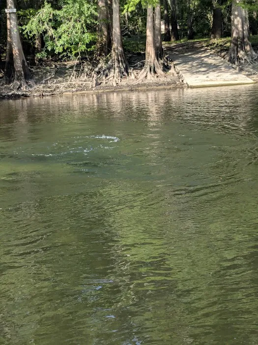 Sandy Point Campground 10