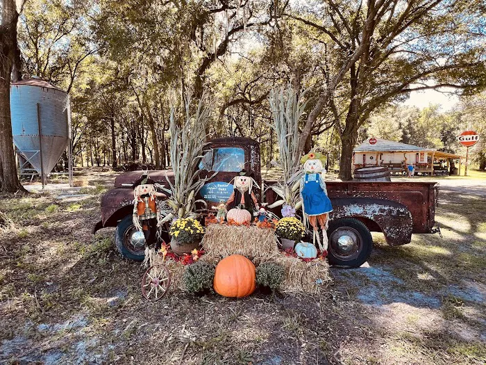 Rustic Oaks RV Park, LLC 7